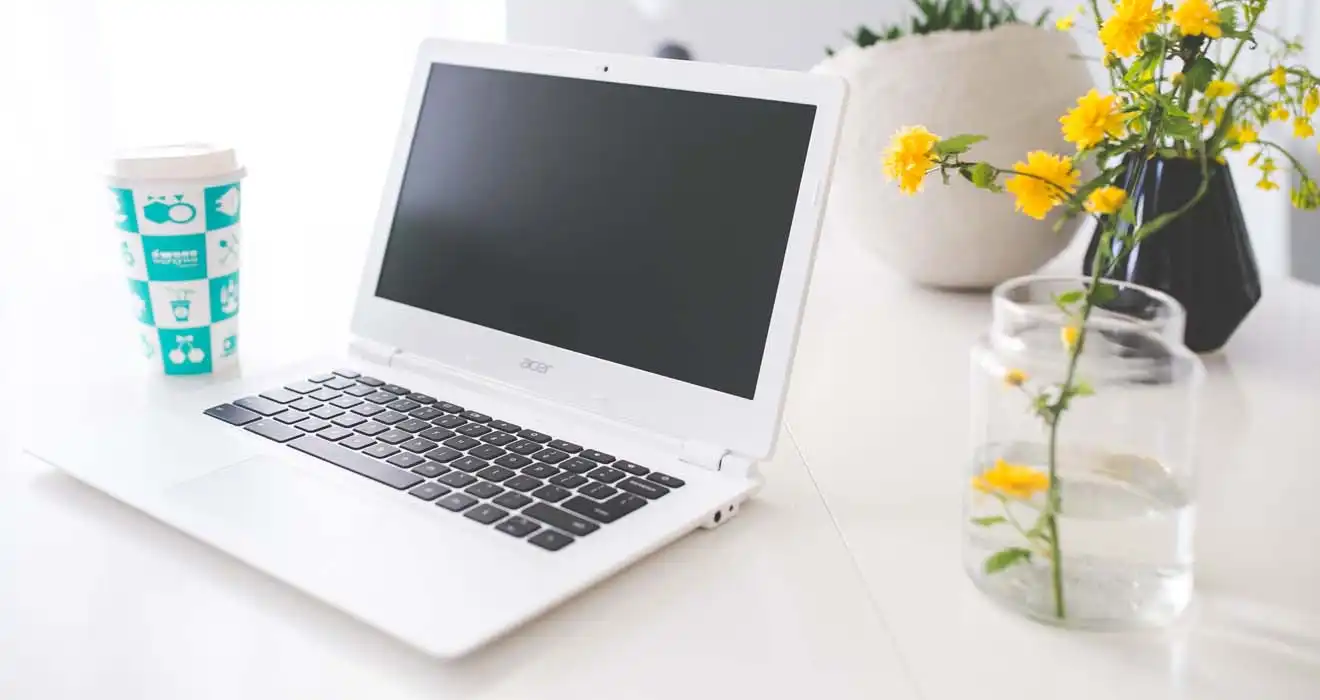 Ремонт ноутбуков Acer в Томилино
